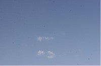 Typepad Import Image
