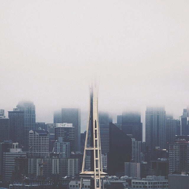 Foggy Needle