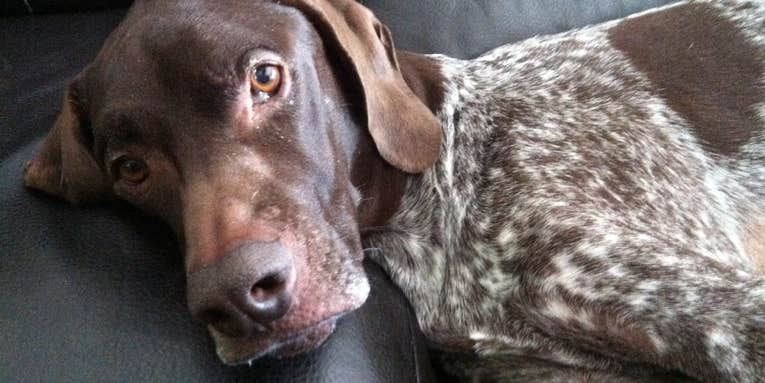 Adobe Photoshop Express 2 for iPhone Samples Adobe Photoshop Express 2 for iPhone Samples