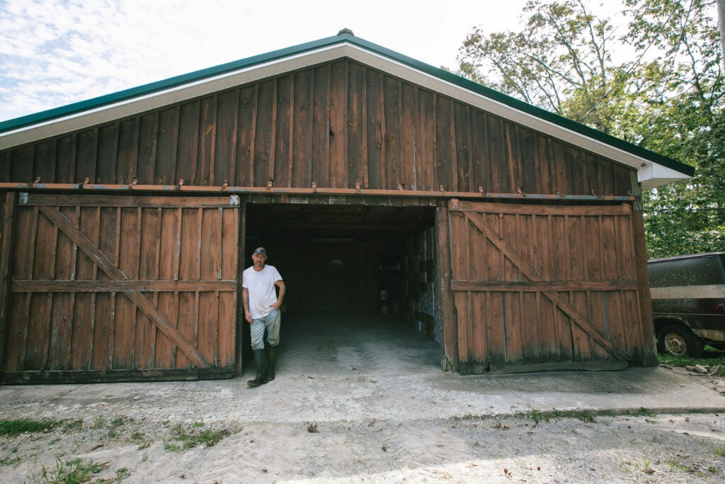 American Apple Farmer