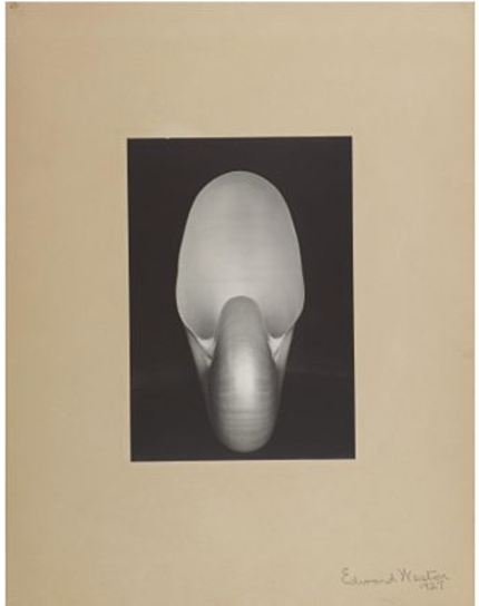 Typepad Import Image