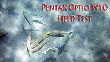 Camera Test: Pentax Optio W10
