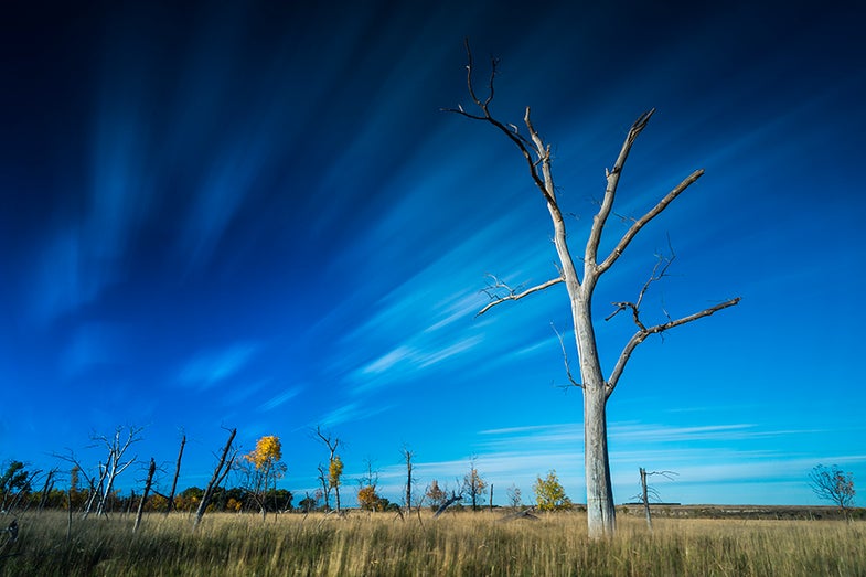 When and where was the photo taken? Sept 17, 2012 Bismarck, North Dakota.What camera and lens were used? Nikon D800 and Tokina 17-35 f/1.4. Also a Lee big stopper and 3 stop graduated ND filter were used.Tech specs: ISO 100, 144 sec, f/11. See more of Marshall's work here. Want to see your photo picked as our Photo of the Day? Submit it HERE.