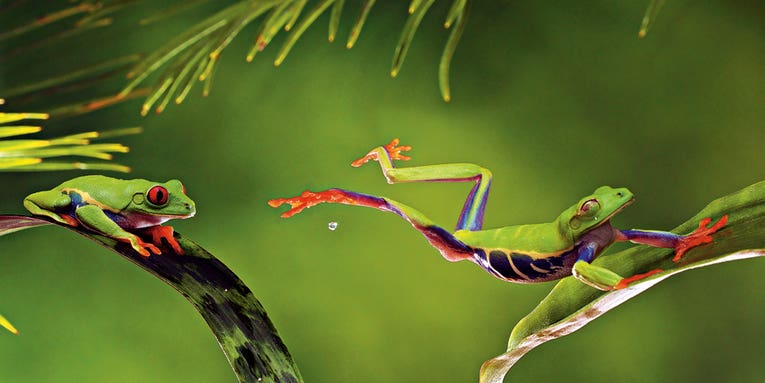 How To: DIY Tripwire Photography How To: DIY Tripwire Photography