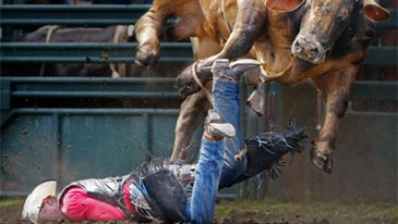 How to Shoot a Rodeo