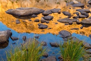Tamron Gallery Thumb