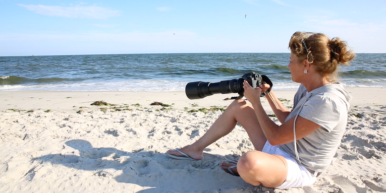 I, Photographer: Lisa Franceski’s Shore Birds