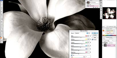 Adobe Photoshop CS3 Preview Adobe Photoshop CS3 Preview