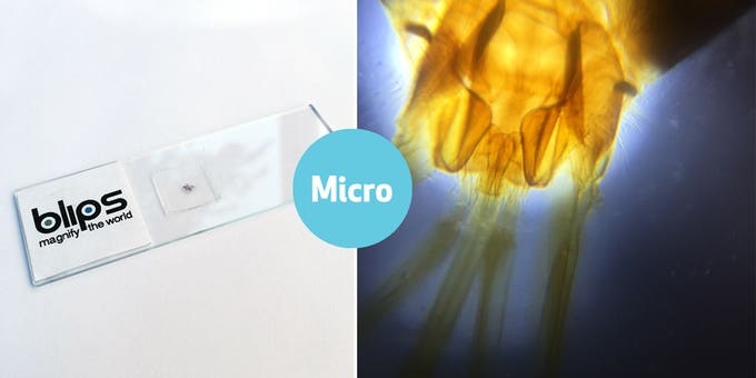 Kickstarter: Blips Are Surprisingly Tiny Micro and Macro Lenses For Smartphone Cameras Kickstarter: Blips Are Surprisingly Tiny Micro and Macro Lenses For Smartphone Cameras