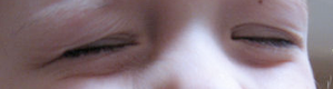 Typepad Import Image