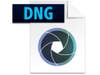 DNG logo
