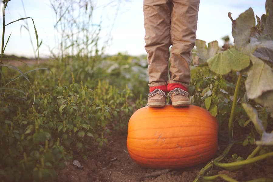 Today's Photo of the Day was submitted by <a href="http://www.flickr.com/photos/jordanparksphotography/">Flickr-user, Jordan Parks</a>. Typically, kids-with-pumpkins shots feel played out, but this is a fresh take on it. The loose crop gives a nice sense of the pumpkin patch and the texture in the shoes and pants give it a richness. We also like the intersecting parallel lines of the legs as they hit the pumpkin and the horizon. Very nicely done overall. If you'd like your work considered for Photo of the Day, <a href="http://www.flickr.com/groups/1614596@N25/">join up with our Flickr group</a> and show your best stuff!