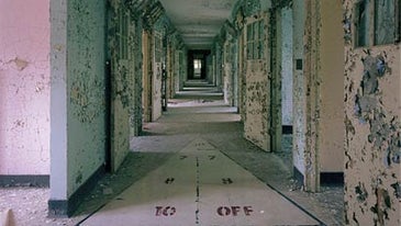 Adventures in The Forbidden Zone