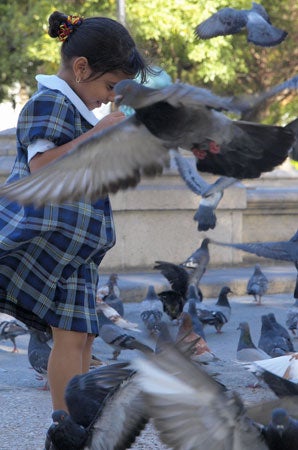 Olympus-E-3-Field-Report-A-little-girl-a-flock-o