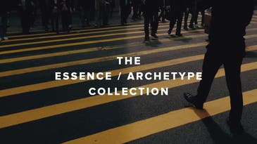 VSCO Cam Gets New Essence / Archetype Filter Collection