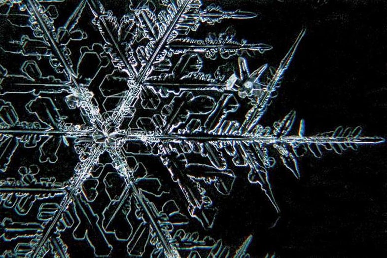 snowflake close up