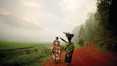 Tips For Better Travel Photography