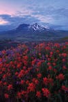 Loowit Overlook, Mt. Saint Helens National Monument, WA