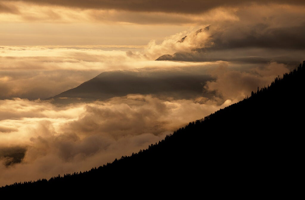 Hurricane Ridge, Olympic National Park, WA