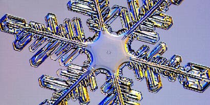 No Two Alike? No Two Alike?