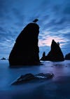 Split Rock, Rialto Beach, Olympic National Park, WA