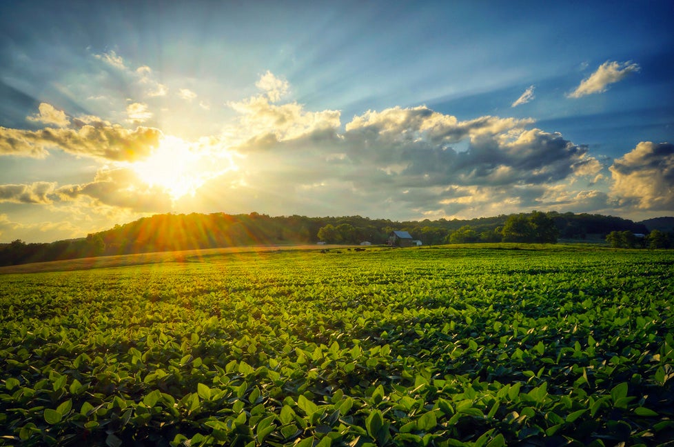 Today's Photo of the Day was taken by Aaron Fuhrman on a Missouri farm. Aaron captured this image with a Sony ILCE-7 with a FE 28-70mm F3.5-5.6 OSS lens. See more of Aaron's work <a href="http://www.flickr.com/photos/zeitlosimagery/">here.</a>