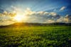 Today's Photo of the Day was taken by Aaron Fuhrman on a Missouri farm. Aaron captured this image with a Sony ILCE-7 with a FE 28-70mm F3.5-5.6 OSS lens. See more of Aaron's work <a href="http://www.flickr.com/photos/zeitlosimagery/">here.</a>