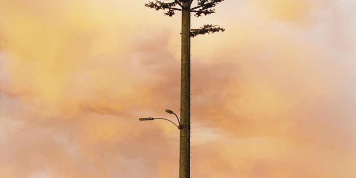American Photo: Robert Voit’s Fake Plastic Trees