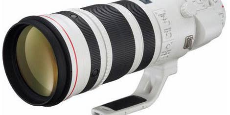 Canon Working on EF 200-400mm F/4L IS Lens With Built-In 1.4x Extender