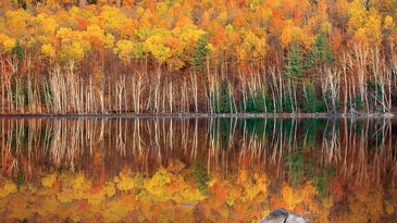 5 Tips for Better Fall Foliage Photos