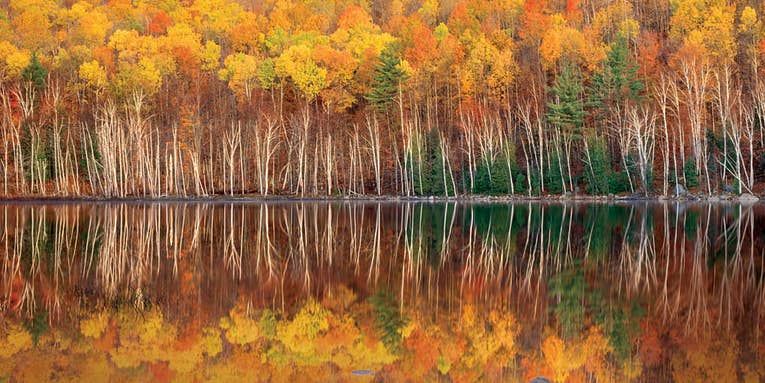 5 Tips for Better Fall Foliage Photos