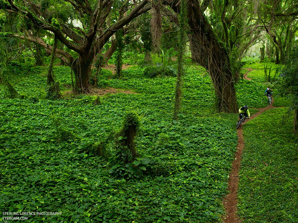 Andrew Shandro and Rene Wildhaber in Maui, Hawaii