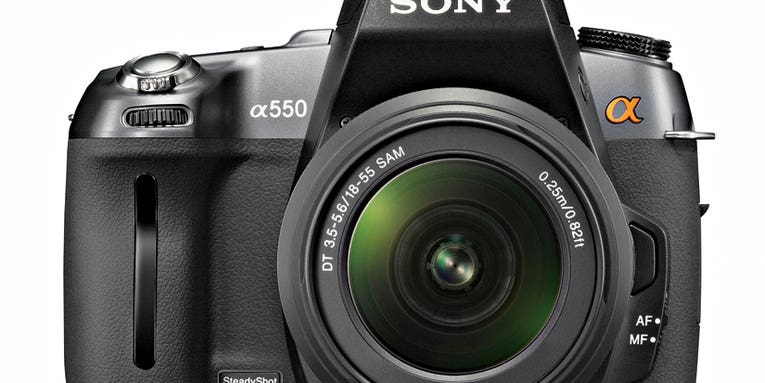 Camera Test: Sony Alpha 550 gallery