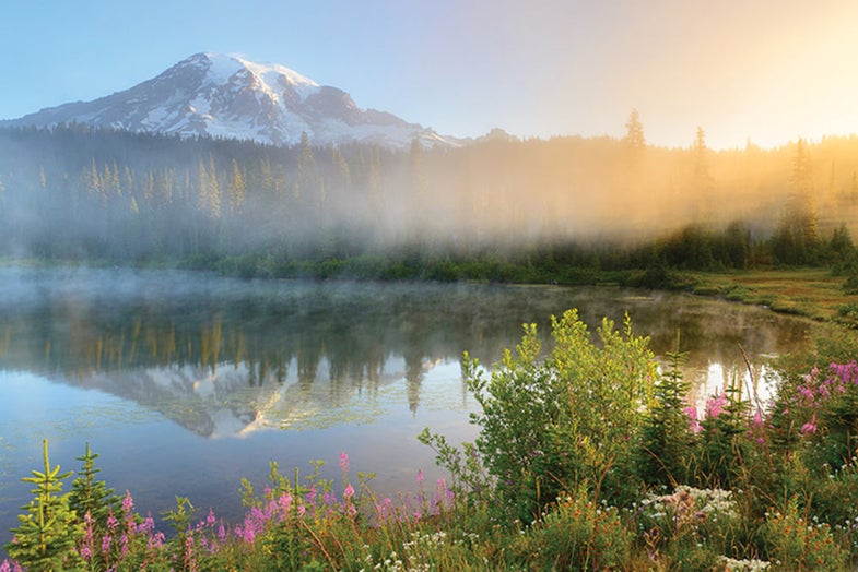 Photo Workshop: Mt. Rainier National Park