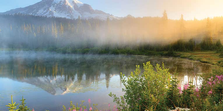 Photo Workshop: Mt. Rainier National Park Photo Workshop: Mt. Rainier National Park