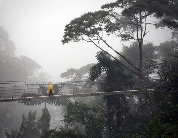 arenal-hanging-bridges.jpg