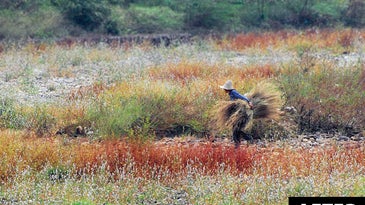 Quick Fix: A New Crop Brings New Life To a Photo