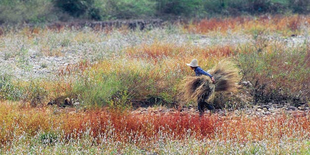 Quick Fix: A New Crop Brings New Life To a Photo