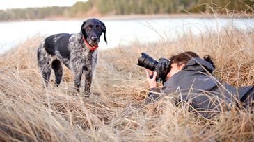 I, Photographer: The Dog Portraitists