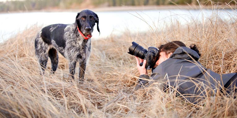 I, Photographer: The Dog Portraitists I, Photographer: The Dog Portraitists