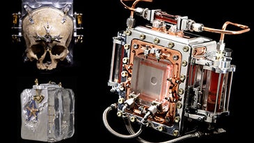 Belger Captures Images Through Skulls, Infected Blood
