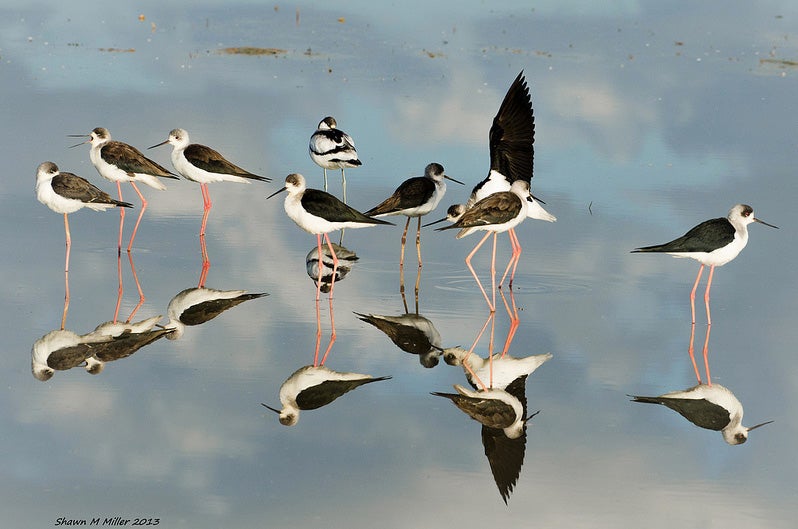 Shawn Miller made today's Photo of the Day in Okinawa, Japan. See more of his nature photography <a href="http://www.flickr.com/photos/okinawaphotos/">here</a>.