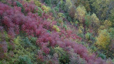 Sample Image Gallery: Sony Alpha 7R Sample Image Gallery: Sony Alpha 7R