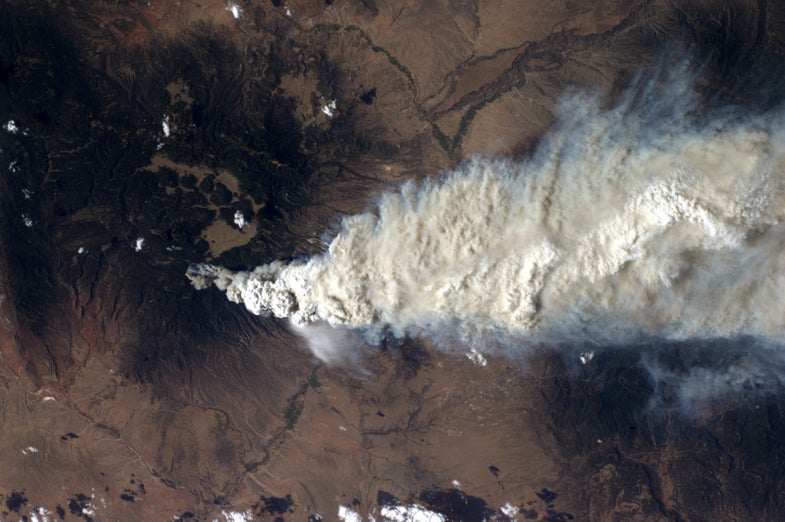 New Mexico wildfire
