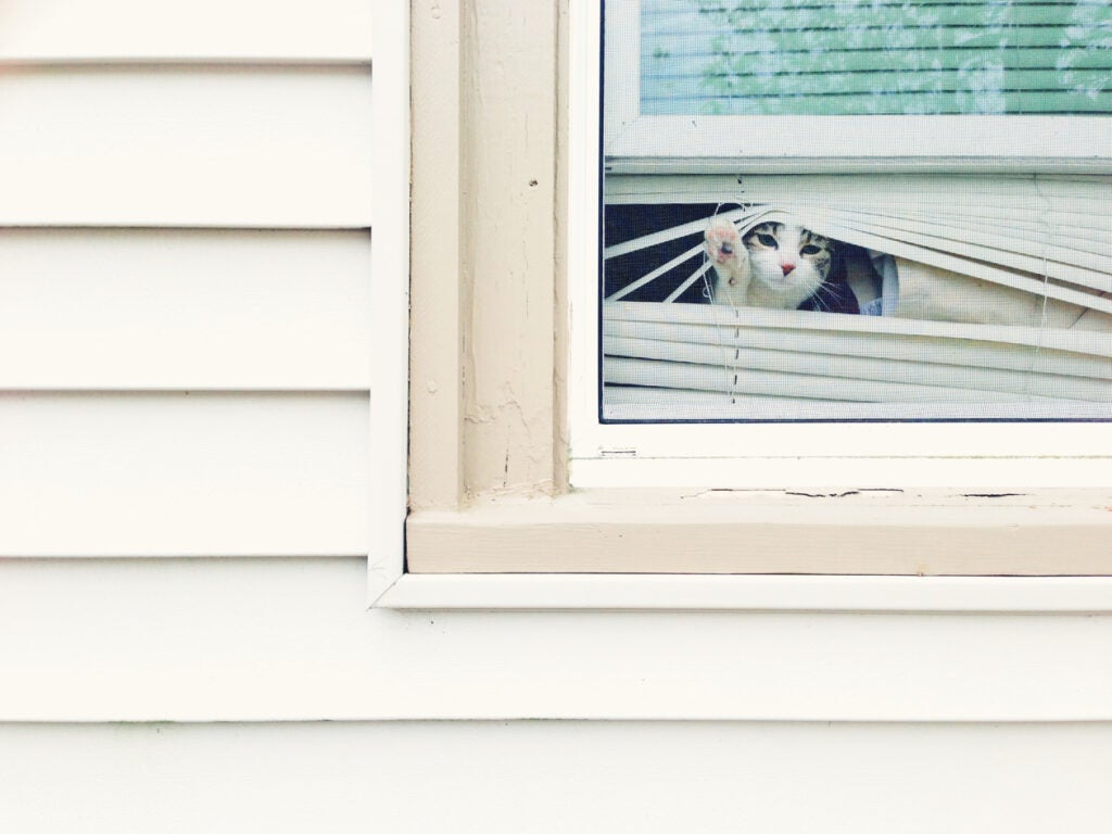 No Don't Go.