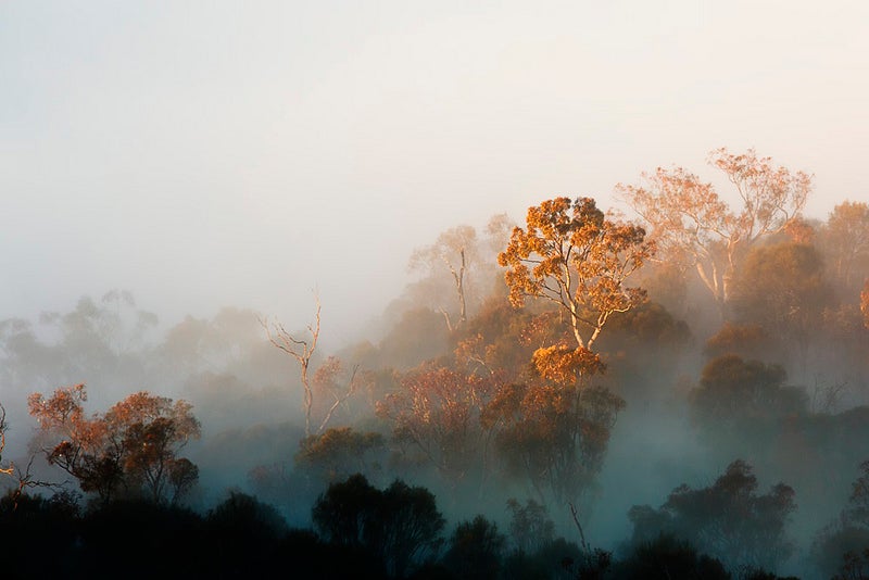 Ian made today's Photo of the Day in Canberra, Australia with a Canon EOS 5D Mark III. See more of his work <a href="http://www.flickr.com/photos/ianmh2011/">here</a>. <strong>If you want your work considered for Photo of the Day, simply submit it to <a href="http://www.flickr.com/groups/1614596@N25/">the Flickr group here</a>.</strong>