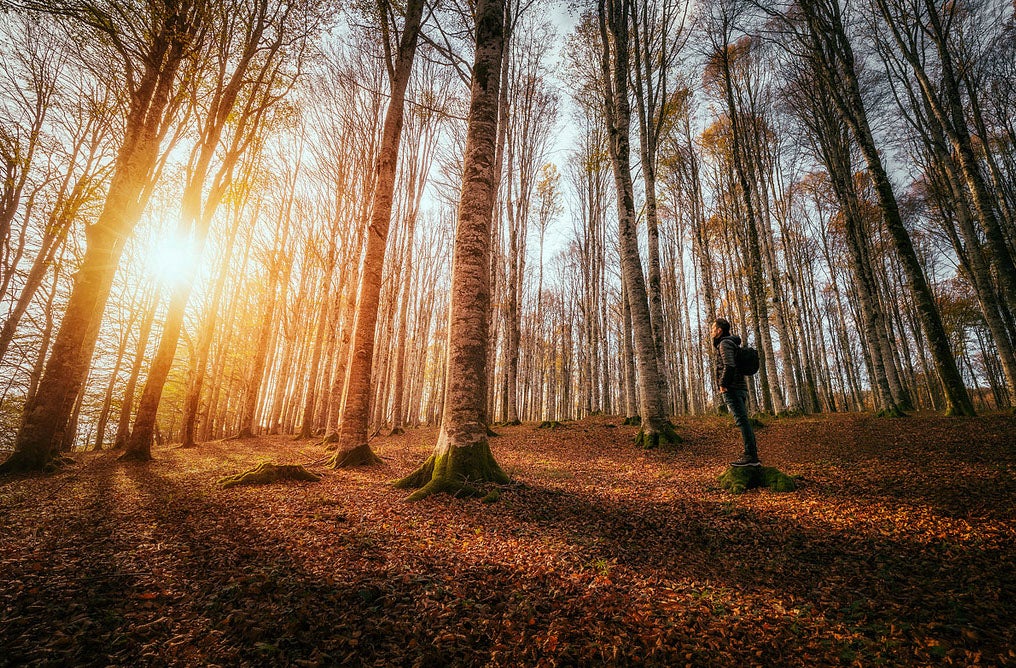Today's Photo of the Day comes from Andrea Livieri who snapped this self-portrait in the woods using a Canon EOS 6D with a EF16-35mm f/4L IS USM lens. To create the final image Andrea blended three images shot at different exposures (-2,0,+2). He processed using Photoshop CC and Color Efex Pro 4 for contrast and details with final touches of toning done in Alien Skin Exposure 6. See more of Andrea's work <a href="http://www.andrealivieriphoto.com/">here.</a>