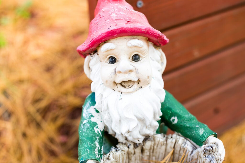 A close-up shot of a weathered garden gnome again shows off its ability to separate subject from background.