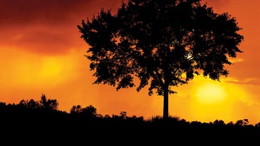 Photo of the Day: Friday October 09 2009