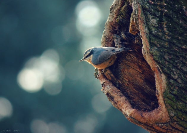 Your Best Shot: January 2013 Gallery